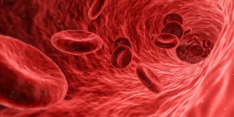 खून की कमी (एनीमिया) – Anemia in Hindi