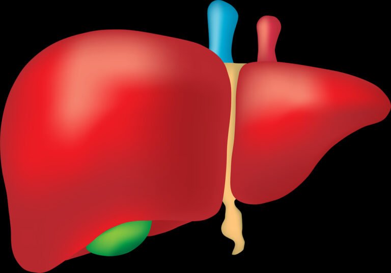फेफड़ों की देखभाल – liver Care tips in Hindi